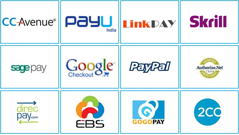 Payment Module Services